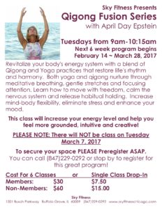 Sky Fitness Chicago - Qigong Fusion Feb March 2017