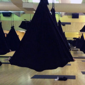 Sky Fitness Chicago - Aerial Yoga Private Party