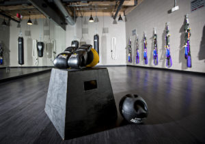 Sky Fitness Chicago - Classes - Cardio Boxing HIIT
