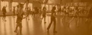 Sky Fitness Chicago - Classes & Programs - Group Exercise - MOSSA - Header Image