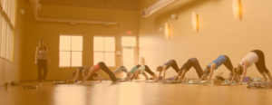 Sky Fitness Chicago - Classes and Programs - Yoga Classes - Header Image