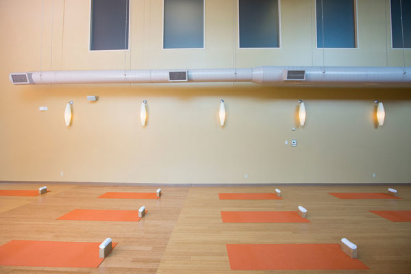 Sky Fitness Chicago - World-Class Yoga Studios - Avani Yoga Studio