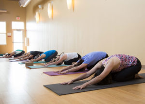 Sky Fitness Chicago - World-Class Yoga Studios - Avani Yoga Studio