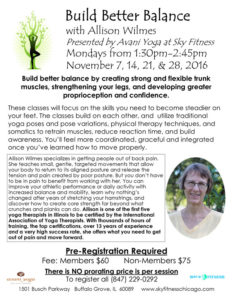 Sky Fitness Chicago - Blog - Events and Updates - Building Better Balance