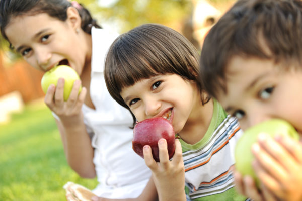 10 Kid-Friendly Healthy Recipes for the School Year - Sky Fitness Chicago