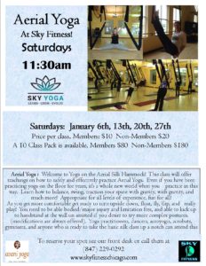 Aerial Saturdays January 2018- Sky Fitness Chicago