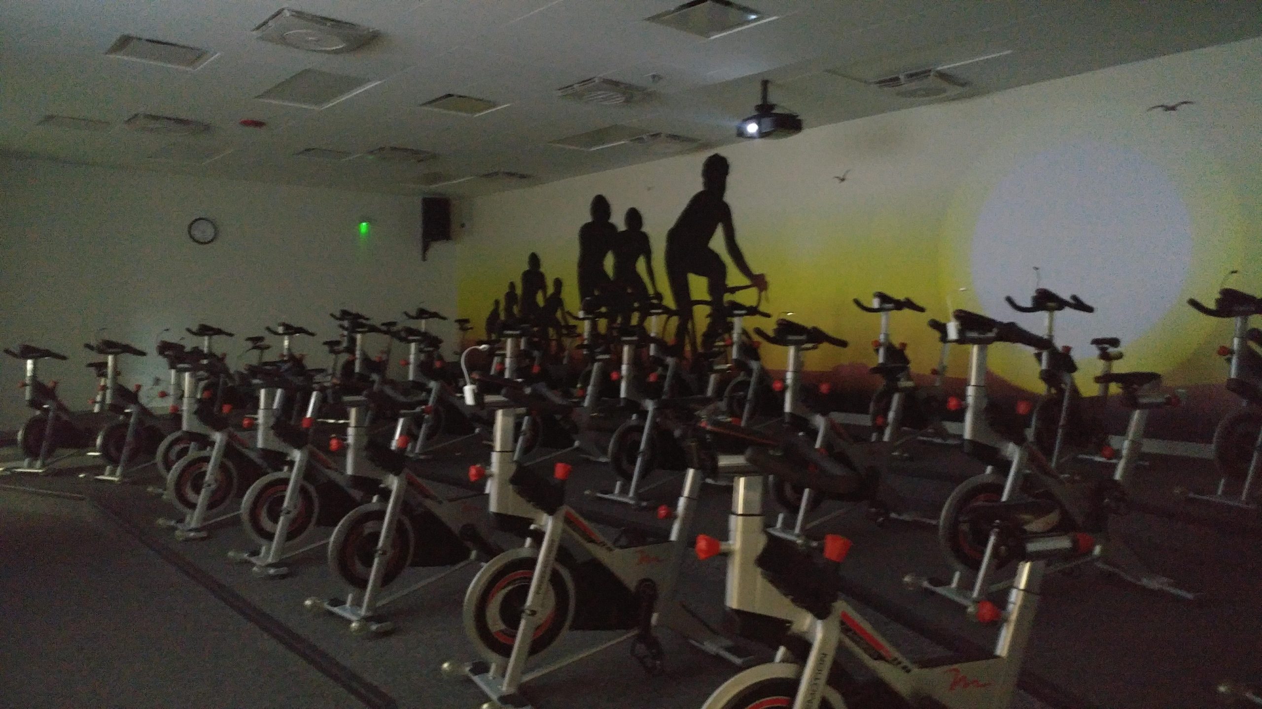 Cycle Pic 1 Sky Fitness Center In Buffalo Grove